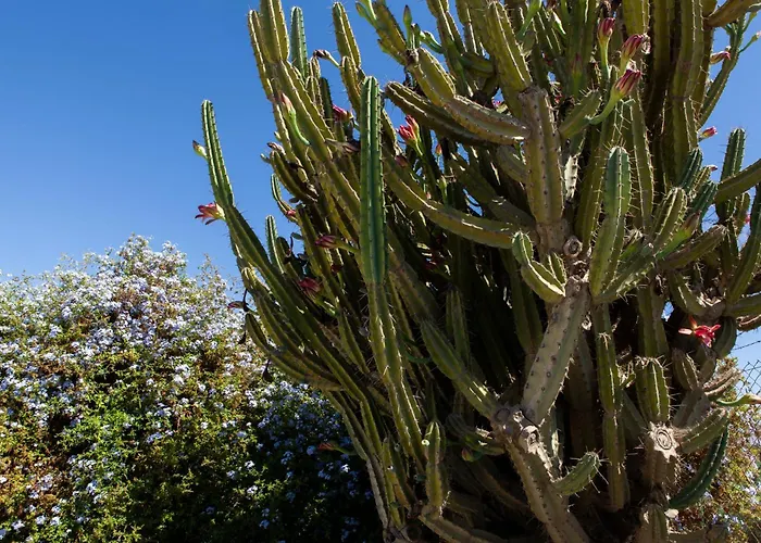 Appartement Beachside In Peaceful Almayate